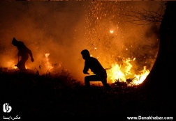 وقوع آتش سوزی در ارتفاعات جنگل ناهار خوران گرگان