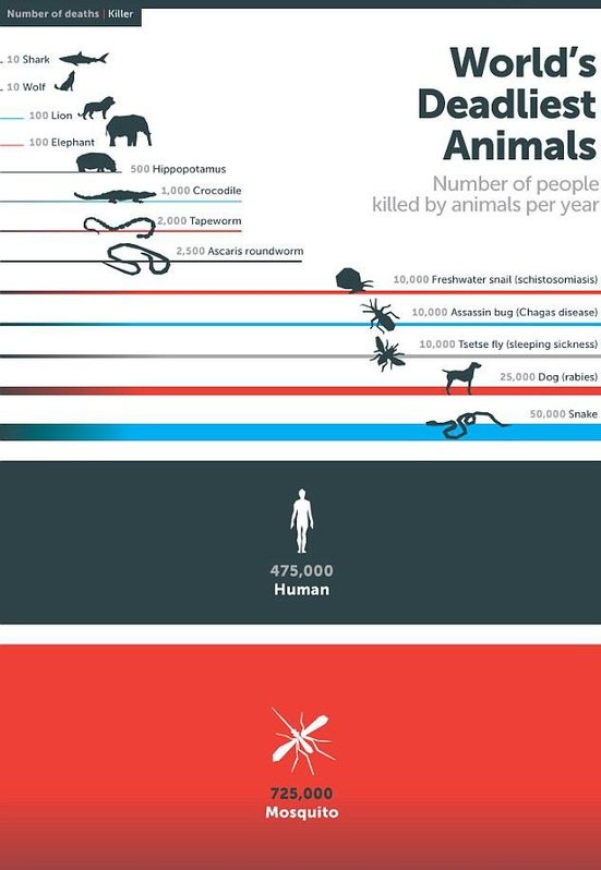 مرگبارترین موجودات جهان