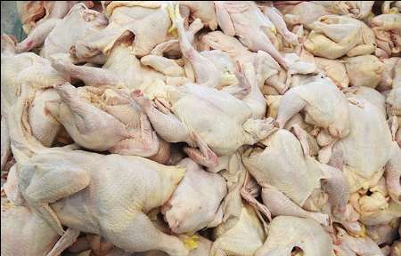 سالانه بیش از 30 هزار تن گوشت مرغ و 60 هزار تن تخم‌مرغ از ایران به کشورهای عراق، سوریه و آسیای میانه صادر می‌شود
