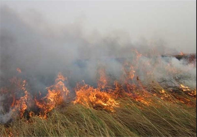 ۱۲ هکتار از مراتع دریاچه هامون در آتش سوخت