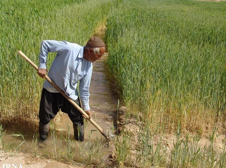ریشه مشکلات کشاورزی ایران، پایین بودن بهره وری است