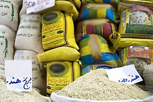 رتبه چهارم ایران در واردات برنج جهان / 2 برابر میزان نیاز کشور برنج وارد شده است