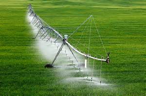 اجرای سیستم های آبیاری تحت فشار در 400 هزار هکتار از اراضی کشاورزی
