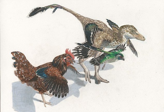 چگونه دایناسورها تبدیل به پرنده شدند؟