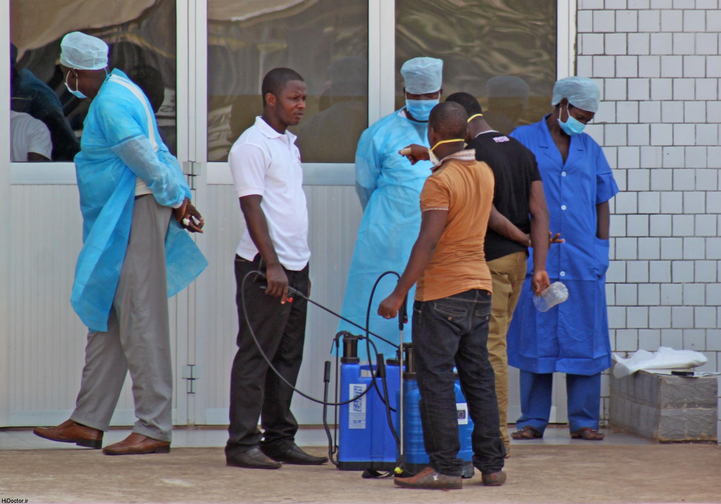 حقایقی در مورد ویروس ابولا/ آشنایی با علایم، درمان و پیشگیری از ابولا