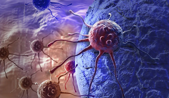 کشف یک سلول سرطان‌کش