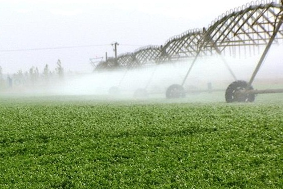 خلا آماری در بخش کشاورزی ما را عاجز کرده است / مصرف 92 درصد منابع آبی کشور در بخش کشاورزی بی‌پایه و اساس است