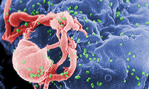 باورهای درست و نادرست در رابطه با بیماری ایدز و ویروس HIV