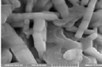 تولید نانوذرات مغناطیسی با ساختارهای جدید توسط پژوهشگران ایرانی