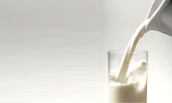 مصرف زیاد «شیر» برای زنان مضر است