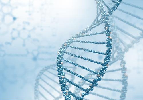 چند درصد DNA انسان کارایی دارد؟
