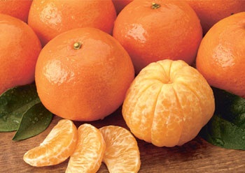 معاون سازمان حفظ نباتات: واردات نارنگی پاکستانی ممنوع است