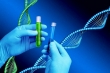 درمان بیماری‌ها با بررسی ژنتیک افراد/ صدور کارت ژنتیک در آینده نزدیک