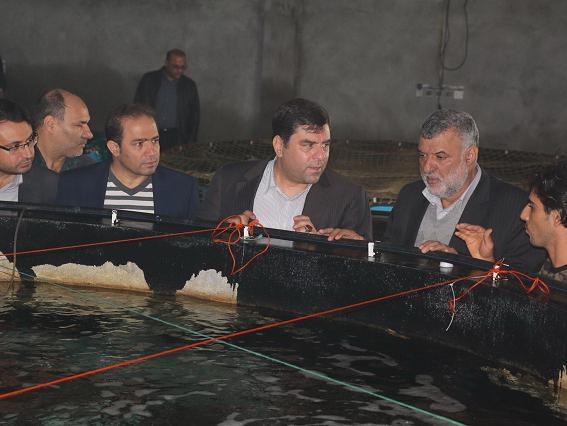 بازدید از نخستین مرکز پرورش ماهی در قفس خلیج فارس با استفاده از دانش بومی