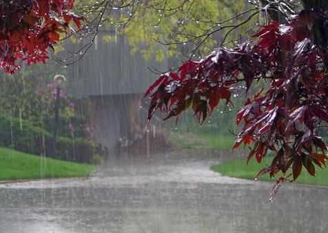 حجم بارش‌های کشور 4 میلی‌متر افزایش یافت/ حجم بارش‌ها کماکان 3 درصد کمتر از سال گذشته