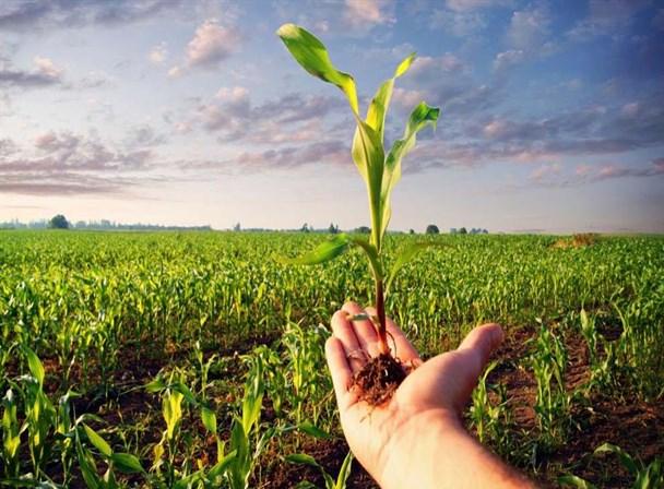دستیابی به کشاورزی پایدار و حفظ محیط زیست با استفاده از فناوری های نو