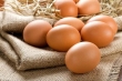 خرابکاری در صادرات تخم‌ مرغ / قیمت در بازار داخلی کاهش یافت