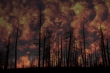 تولید ژل ویژه برای جلوگیری از آتش سوزی جنگل ها