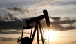 کاهش قیمت نفت در آمریکا قربانی گرفت