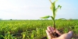 فرآوری زیستی محصولات غذایی و کشاورزی با اجرای بیش از ۲۰۰ پروژه گسترش می‌یابد