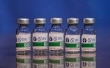 ۷ میلیون دز واکسن پاستوکووک آماده تحویل به وزارت بهداشت