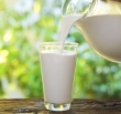 طرح تولید شیر یددار آماده تجاری‌سازی است