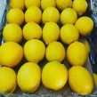 لیموی جهرم در بازار روسیه