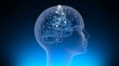 فناوری کاشتنی‌های مغزی با 10 طرح در حال اجرا توسعه می‌یابد