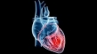 درمان نارسایی های پیشرفته قلبی با سلول‌های بنیادی