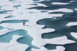 اقیانوس منجمد شمالی خالی از یخ می‌شود!