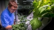 بررسی راه‌های مختلف برای حفظ گیاهان در ایستگاه‌های فضایی