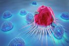 فناوری جدیدی که شناسایی تومور های سرطانی را با آزمایش خون ممکن کرد