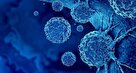کشف درمانی جدید برای بهبود عملکرد سیستم ایمنی بدن در برابر سلول های سرطانی
