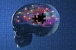 یافته‌های جدید دانشمندان درباره عامل بیماری‌های تخریب‌کننده عصبی