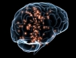 تحقیقات علمی با موضوع بررسی عوارض کووید ۱۹ روی مغز انجام شود