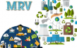 راه اندازی دبیرخانه MRV داخلی انتشار آلاینده‌ها و گازهای گلخانه‌ای در سازمان حفاظت محیط زیست
