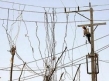 بررسي قانون مجازات استفاده‌کنندگان غیرمجاز از آب، برق، تلفن، فاضلاب و گاز در کمیسیون انرژی مجلس شورای اسلامی