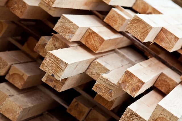 چوب آزمایشگاهی تولید می‌شود!