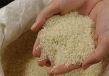 برنج ایرانی باید همانند برنج خارجی شناسنامه‌دار شود