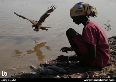 شستن  ماهی برای پخت غذا در کناره سرچشمه رود نیل در سودان جنوبی 