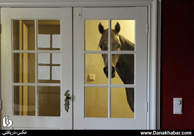  پس از توفان ماه گذشته در هولشتاین آلمان یک خانواده اسب عربی خود را در خانه نگاه می دارند