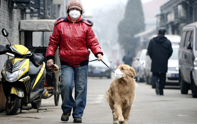 آلودگی هوا در چین. (رویترز)