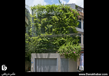 نوسازی سبز، ویتنام: رشد سریع ویتنام مشکلاتی را به همراه داشته است، از جمله، فضای سبز کمتر، کمبود منابع برقی و سیل. همچنین، افزایش وسایل موتوری نیز باعث ایجاد ترافیک و آلودگی هوا شده است. «نوسازی گرین فال» نام ساختمانی در هانوئی است که برای بازگرداندن فضای سبز به شهر طراحی شده است. 
