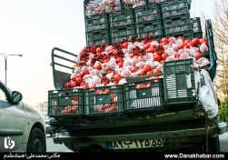 خرید بلندترین شب سال