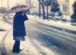 بارش برف در تهران، قفل شدن شهر و سومین بحران مدیریت شهری در یک ماه