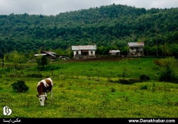 اینجا ایران است کشور چهار فصل- تصاویر طبیعت زیبای مازندران