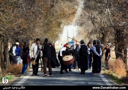 جشنواره «جاودانگی» به مناسبت روز درختکاری