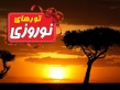 ارزان ترین و گران ترین تورهای نوروز 93 / کیش گران ترین مقصد سفرهای نوروزی