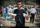 ایستگاهی برای فروش؛ از «کفتر سوسکی» تا «خروس لاری»
