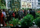 نمایش کاکتوس 1000 تومانی تا درختچه 110 میلیونی تومانی در نمایشگاه گل و گیاه تهران
